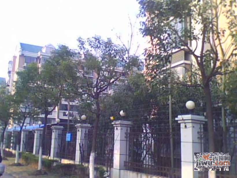 金隆家园实景图图片
