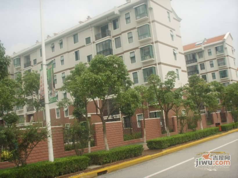 金隆家园实景图图片