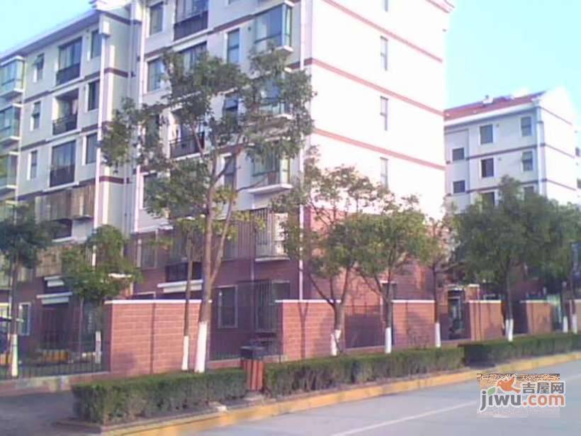金隆家园实景图图片