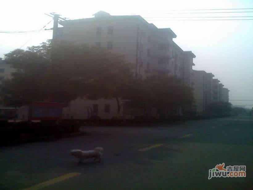 杨园三村实景图图片