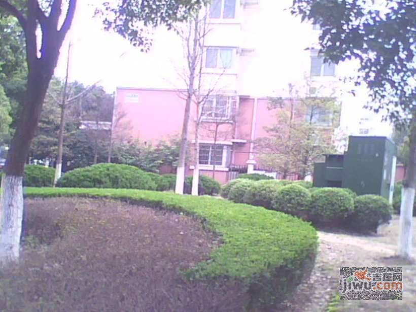 伟业金锦苑一村实景图图片