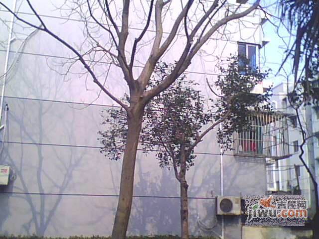 东荷小区实景图图片