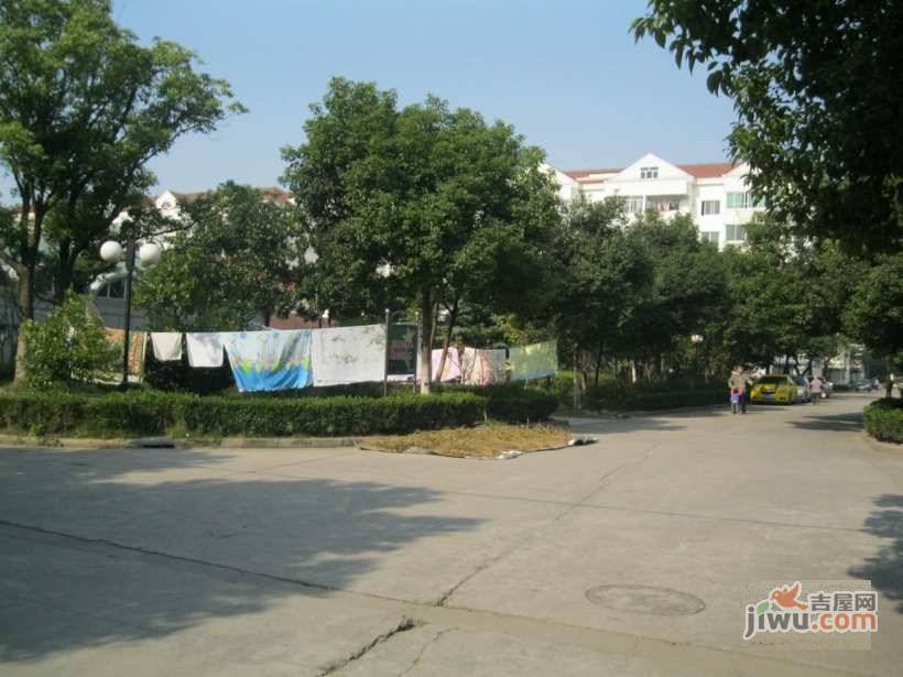杨园二村实景图图片