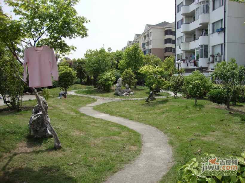 杨园二村实景图图片
