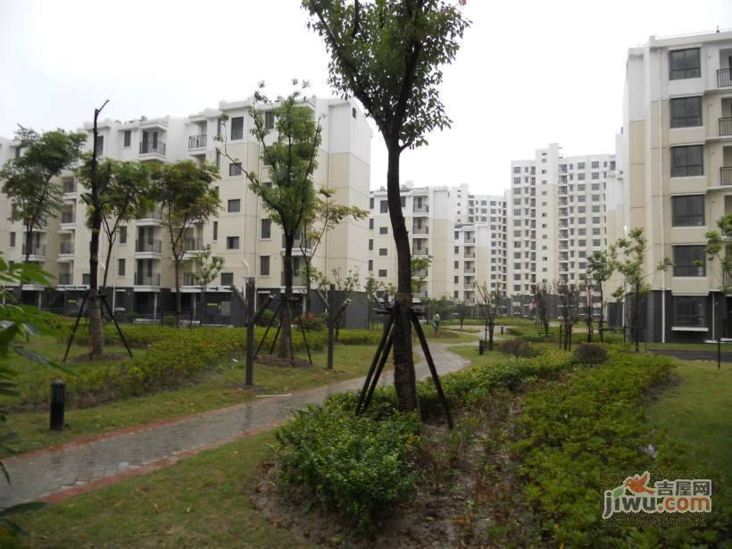 新高苑实景图图片