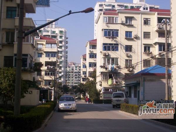 金杨新村一街坊实景图图片