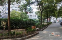凌高小区实景图9