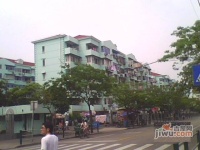 凌高小区实景图9