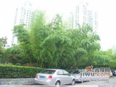 申竹大楼实景图图片