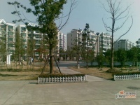 莱阳生活赏实景图29