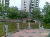 莱阳生活赏实景图29
