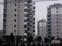 莱阳生活赏实景图29