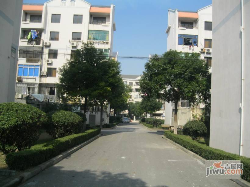 杨园新村实景图图片