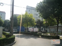 杨园新村实景图图片