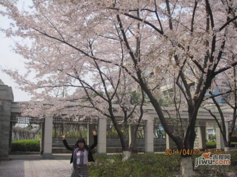 汤臣高尔夫实景图图片