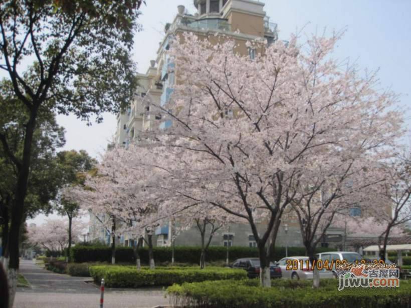 汤臣高尔夫实景图图片