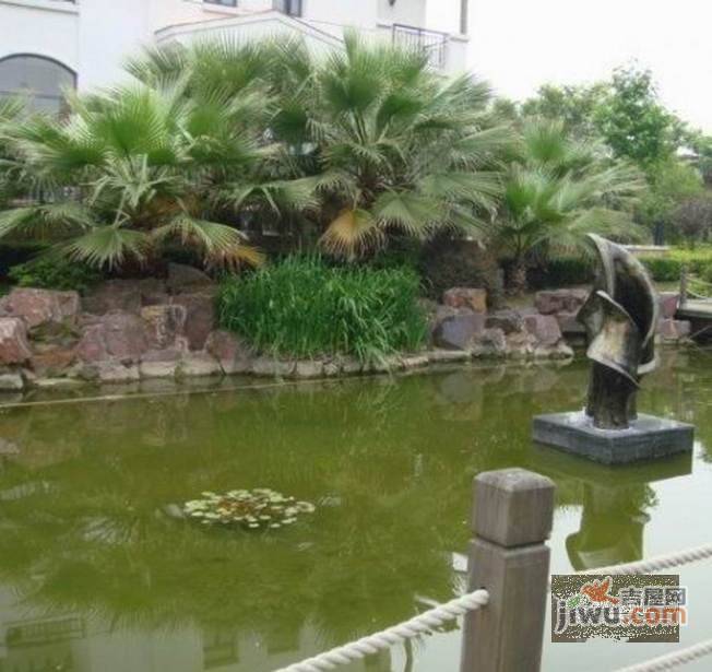 东郊华庭实景图图片