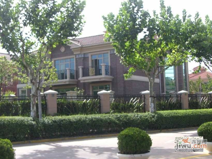 汤臣高尔夫国际公寓实景图图片
