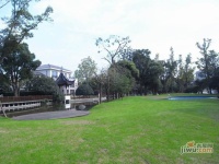 棕榈泉花园实景图图片