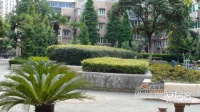 昌里都市庭院实景图图片