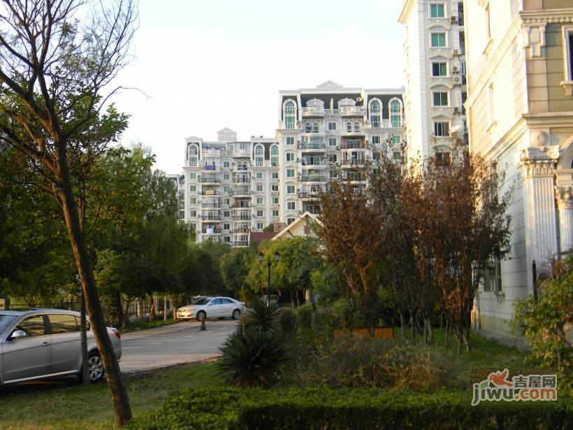 金苹果花园实景图图片