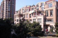 海上国际花园实景图65