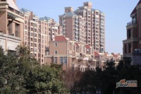 海上国际花园实景图65