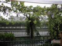 海上国际花园实景图65