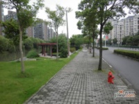 海上国际花园实景图65