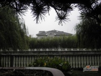海上国际花园实景图65