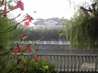 海上国际花园实景图65