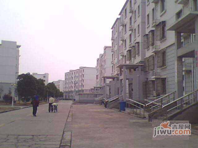 高行绿洲实景图图片