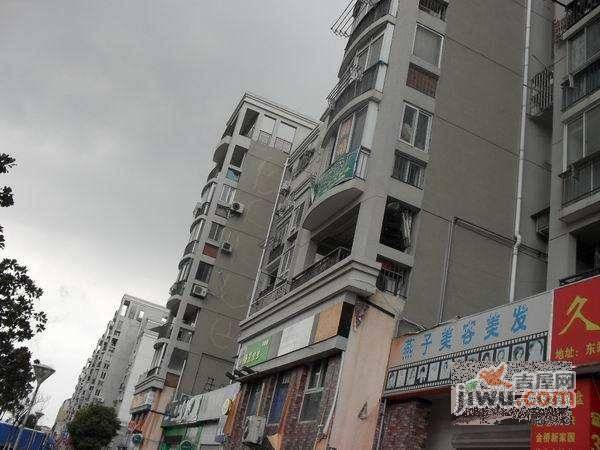 高行绿洲实景图图片