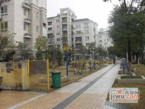 高行绿洲实景图图片