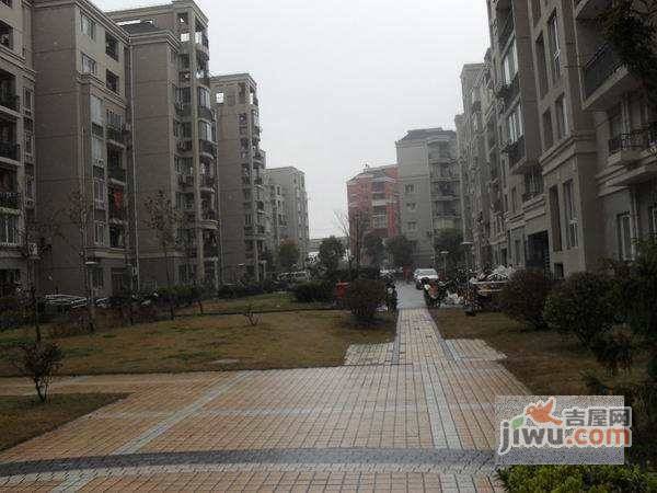 高行绿洲实景图图片