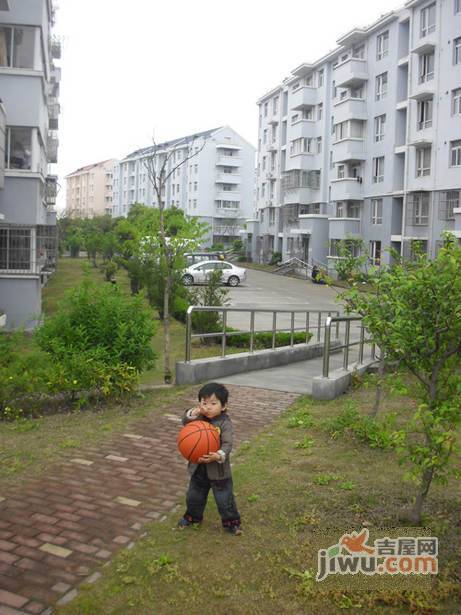 银丰苑实景图图片