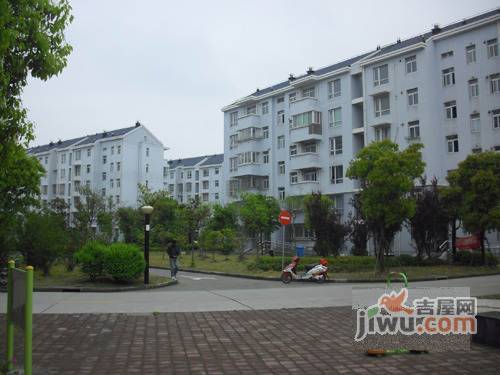 银丰苑实景图图片