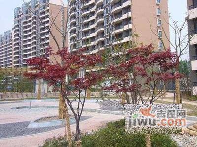 莘映象林水美地苑实景图图片
