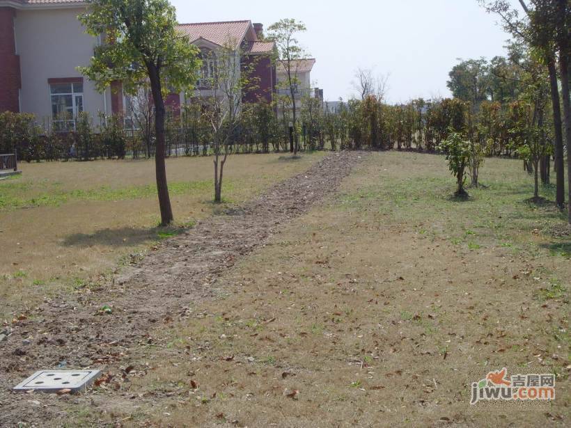 中房森林别墅实景图图片