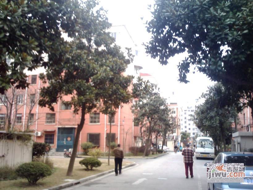 报春四村实景图图片