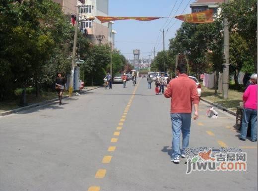 报春四村实景图图片
