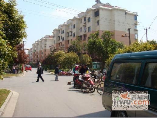 报春四村实景图图片