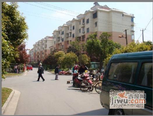 报春四村实景图图片