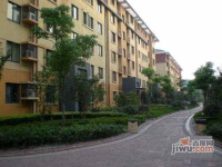 牡丹公寓实景图图片