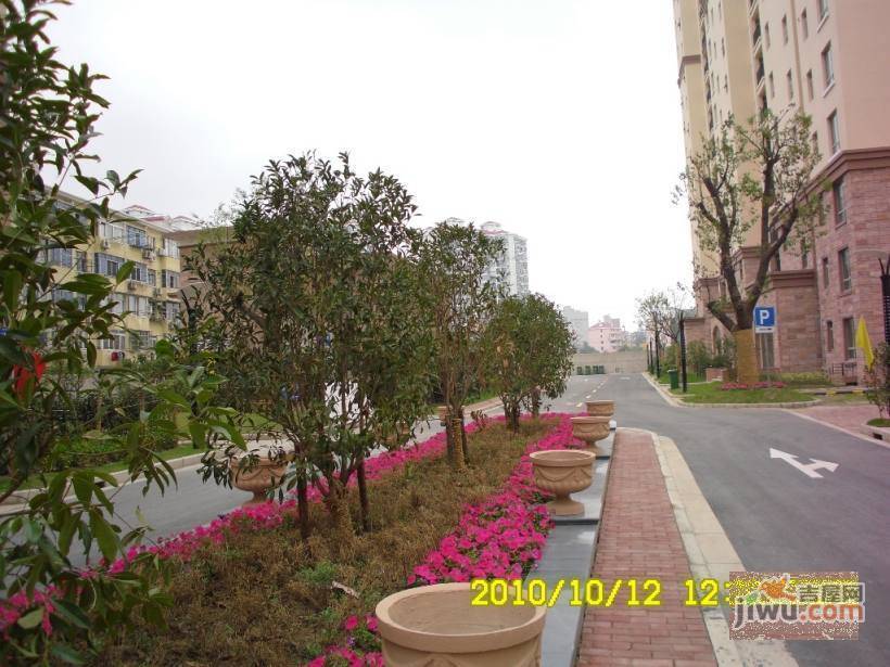 星河景苑实景图图片