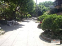 平保小区实景图30