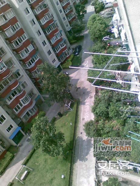 绿苑公寓实景图图片