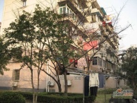 工农三村实景图2
