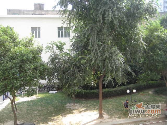 双阳大楼实景图图片
