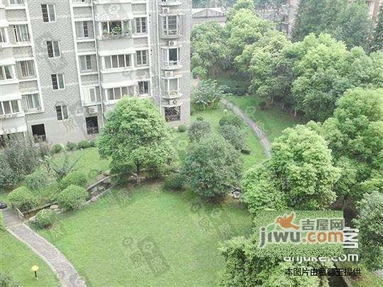 双阳大楼实景图图片